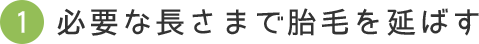 必要な長さまで胎毛を延ばす